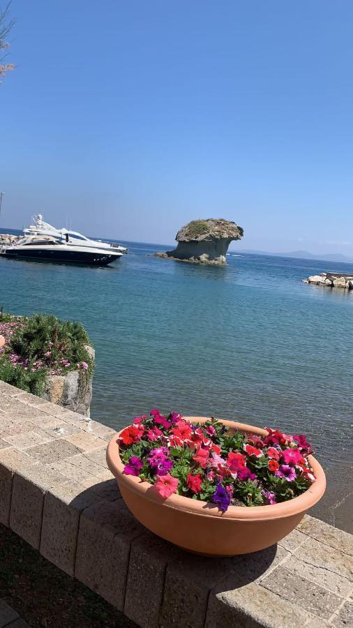 Villa Martina Suite Apartament Lacco Ameno  Eksteriør billede