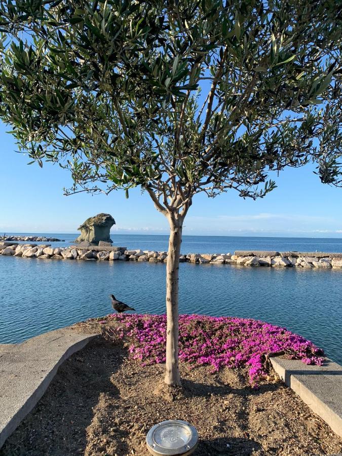 Villa Martina Suite Apartament Lacco Ameno  Eksteriør billede