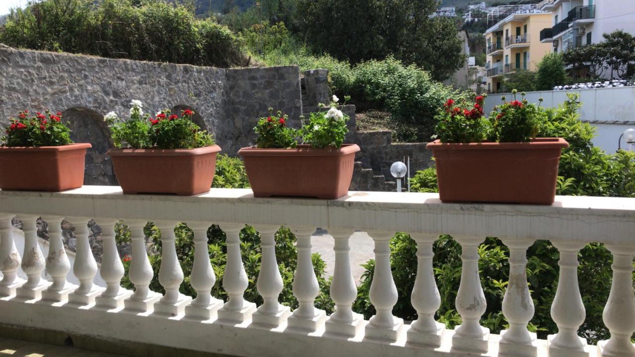 Villa Martina Suite Apartament Lacco Ameno  Eksteriør billede