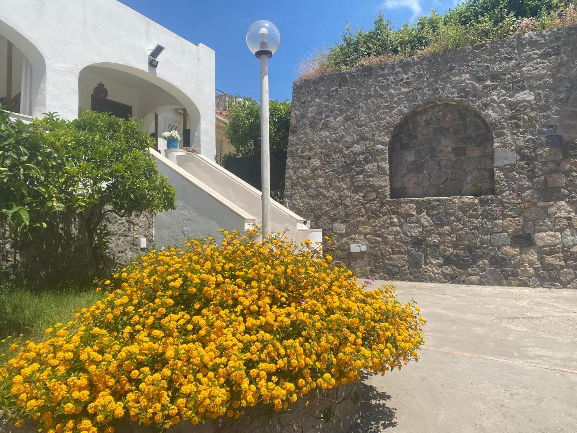 Villa Martina Suite Apartament Lacco Ameno  Eksteriør billede
